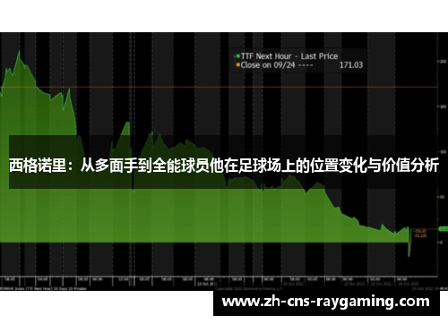 西格诺里：从多面手到全能球员他在足球场上的位置变化与价值分析