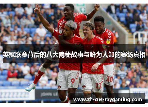 英冠联赛背后的八大隐秘故事与鲜为人知的赛场真相